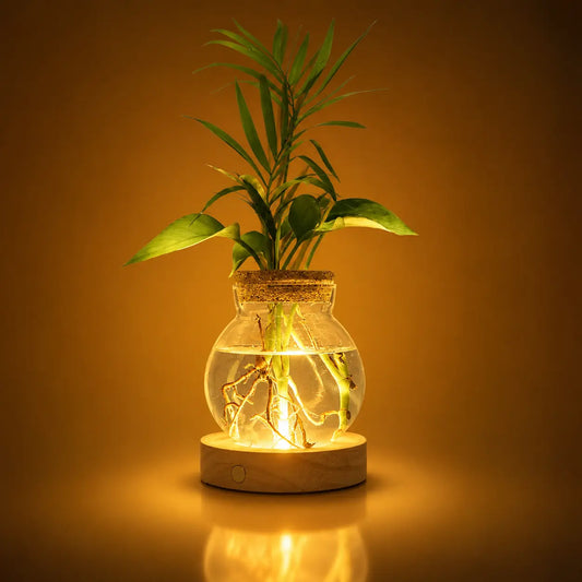LED Plant Propagation Vase with Wooden Base, Stepless Dimmable Glass Hydroponic Terrarium, Indoor Plant Holder, Modern Home Decor Gift for Plant Lovers, Mom & Women