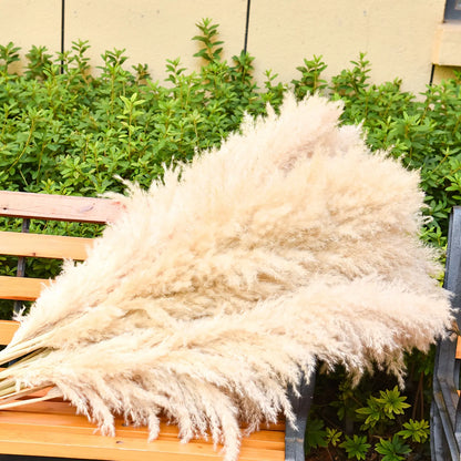 40-Inch Natural Dried Pampas Grass Flower Bouquets - Fluffy Casual Boho Minimalist Aesthetic Home Decor, 16/20 Stems for Entryway Decor, Table Decoration
